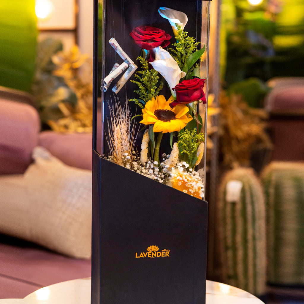 Shafafiyah شفافية